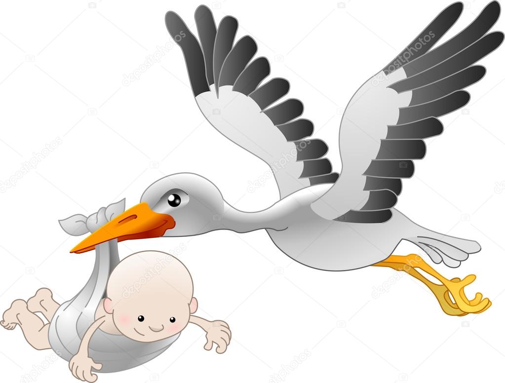 1023x776 Stork Delivering A Newborn Baby Stock Vector Krisdog