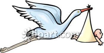 350x178 The Stork In Flight, Delivering A Baby In A Bundle