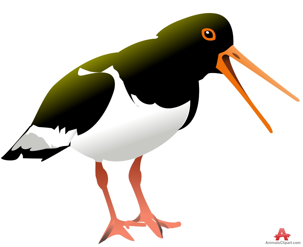 999x815 Exotic Stork Bird Free Clipart Design Download