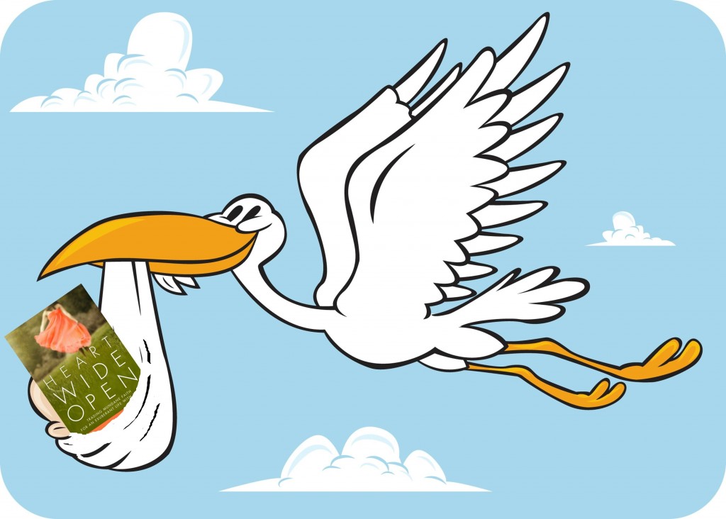 1024x732 Stork Bird Baby