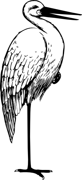 270x591 Stork In Black And White Clip Art