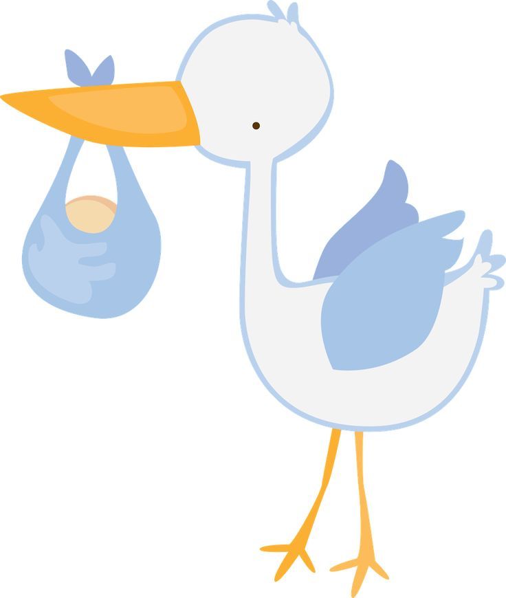 736x870 Stork Clipart Baby Boy