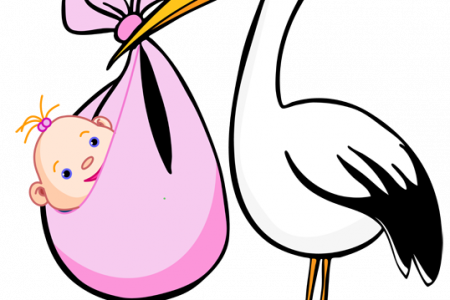 450x300 Stork Clipart Pink Stork