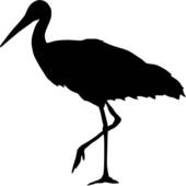 170x170 White Stork Clip Art