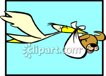 350x249 The Stork Delivering A Baby Puppy