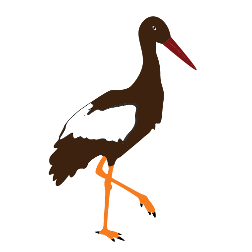 508x508 Marabou Stork Clipart