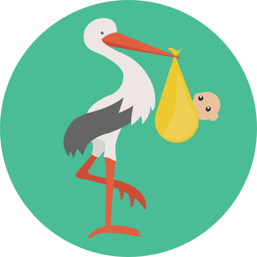 512x512 Stork