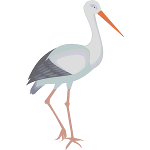 300x300 Stork 03 Clipart, Cliparts Of Stork 03 Free Download (Wmf, Eps