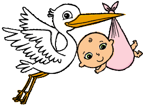 294x220 Stork And Baby Collection