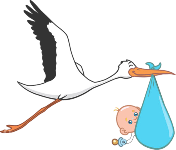 600x511 Stork Png Picture Web Icons Png