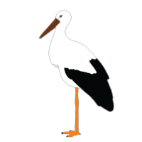 200x200 Stork Clipart Fox