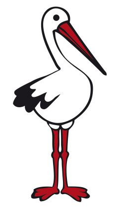 236x435 Strasbourg, The Alsace And The Stork