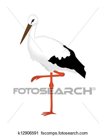 368x470 Clipart Of White Stork Of A White Background K12906591