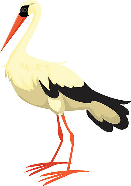 430x612 Crane Clipart Stork
