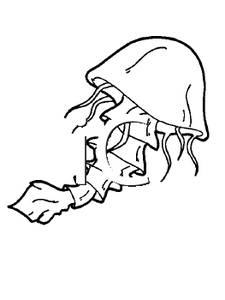 225x300 Art Image Outline Of A Jellyfish With A Strange Tail