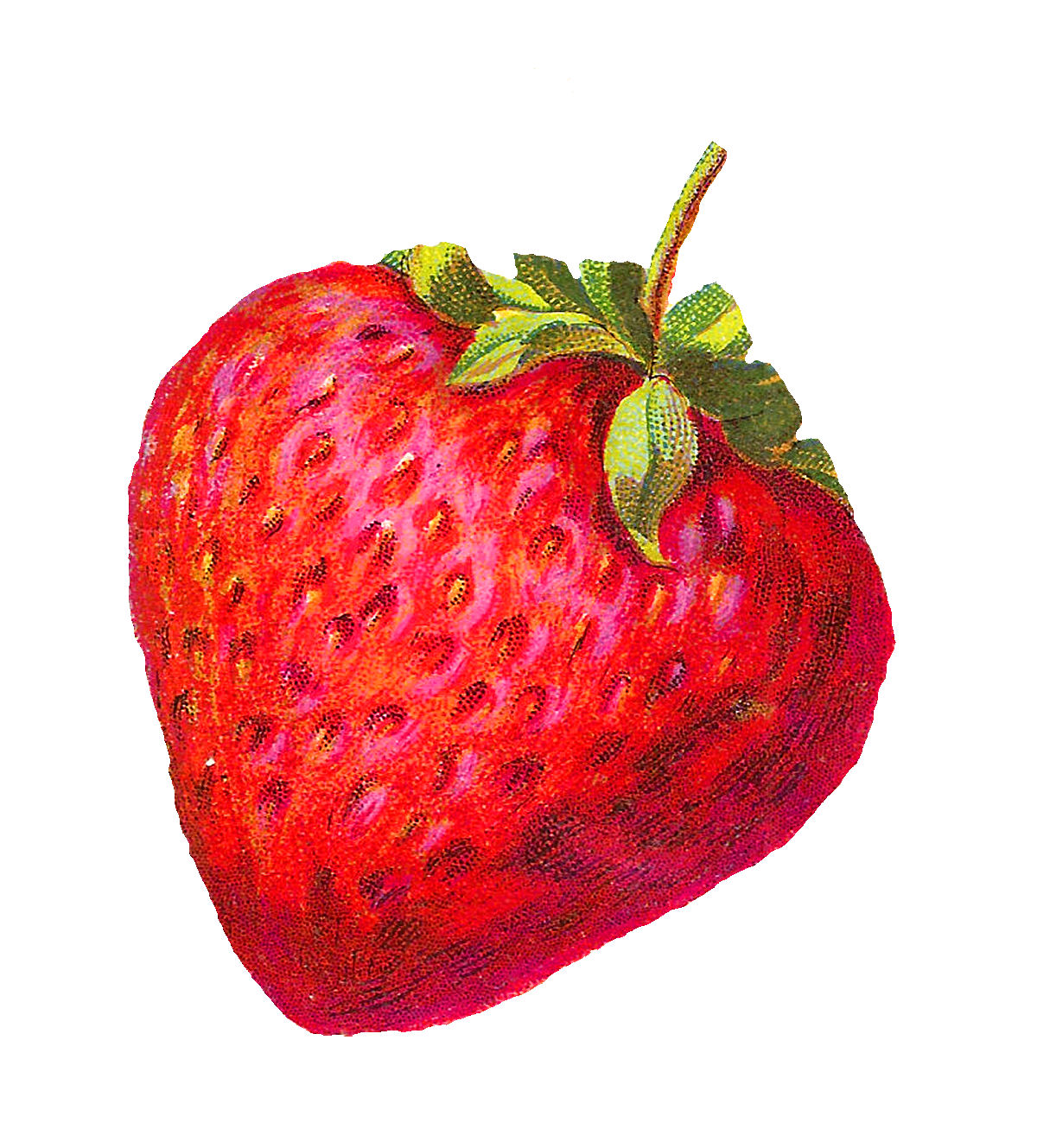 1200x1329 Vintage Clipart Strawberry