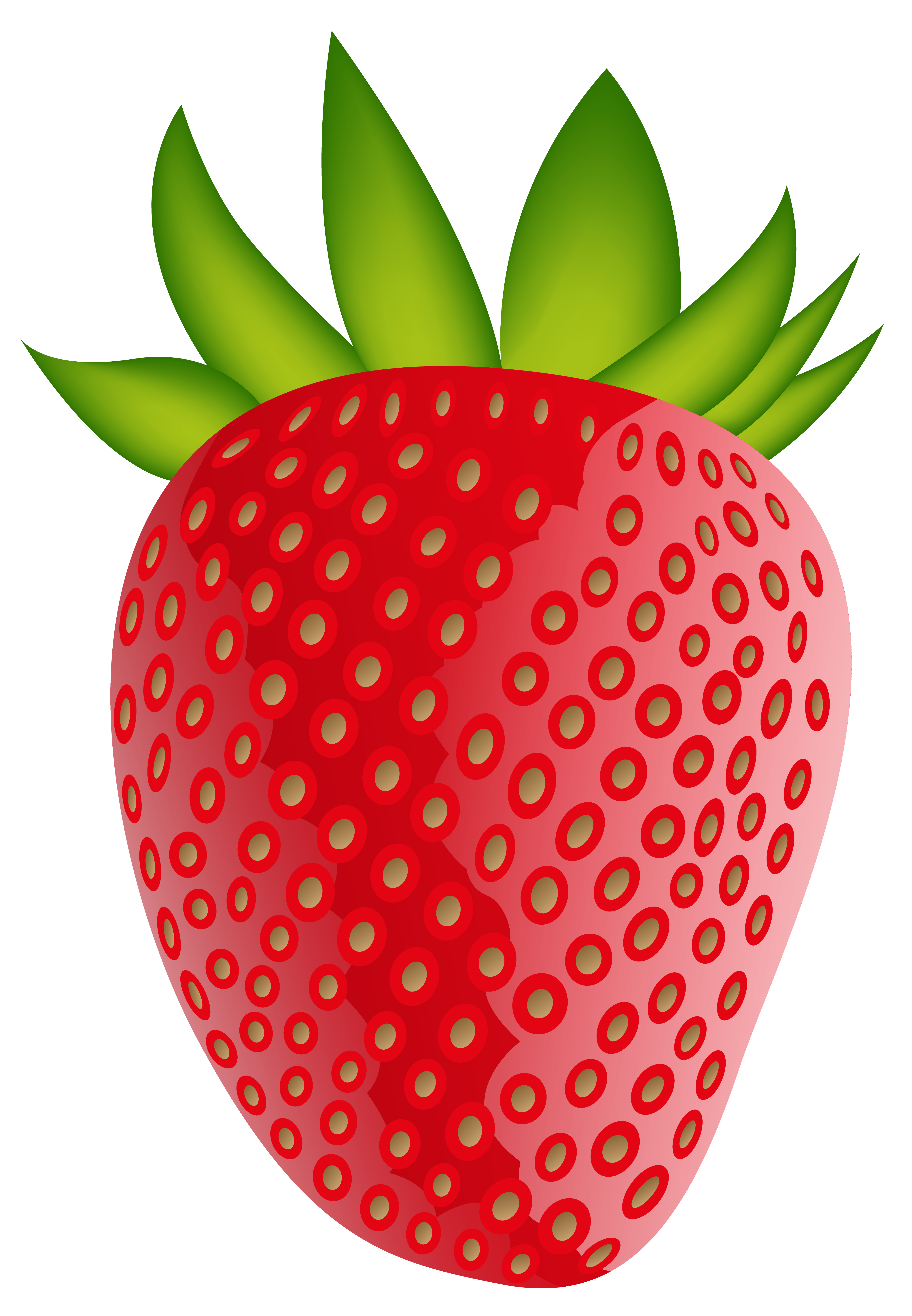 4990x7203 Strawberry Png Clip Artt Imageu200b Gallery Yopriceville