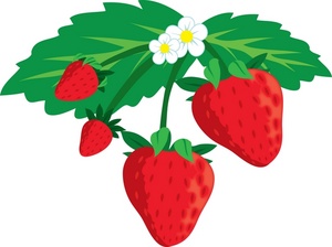 300x224 Free Strawberries Clipart Image 0071 0906 2708 4235 Food Clipart