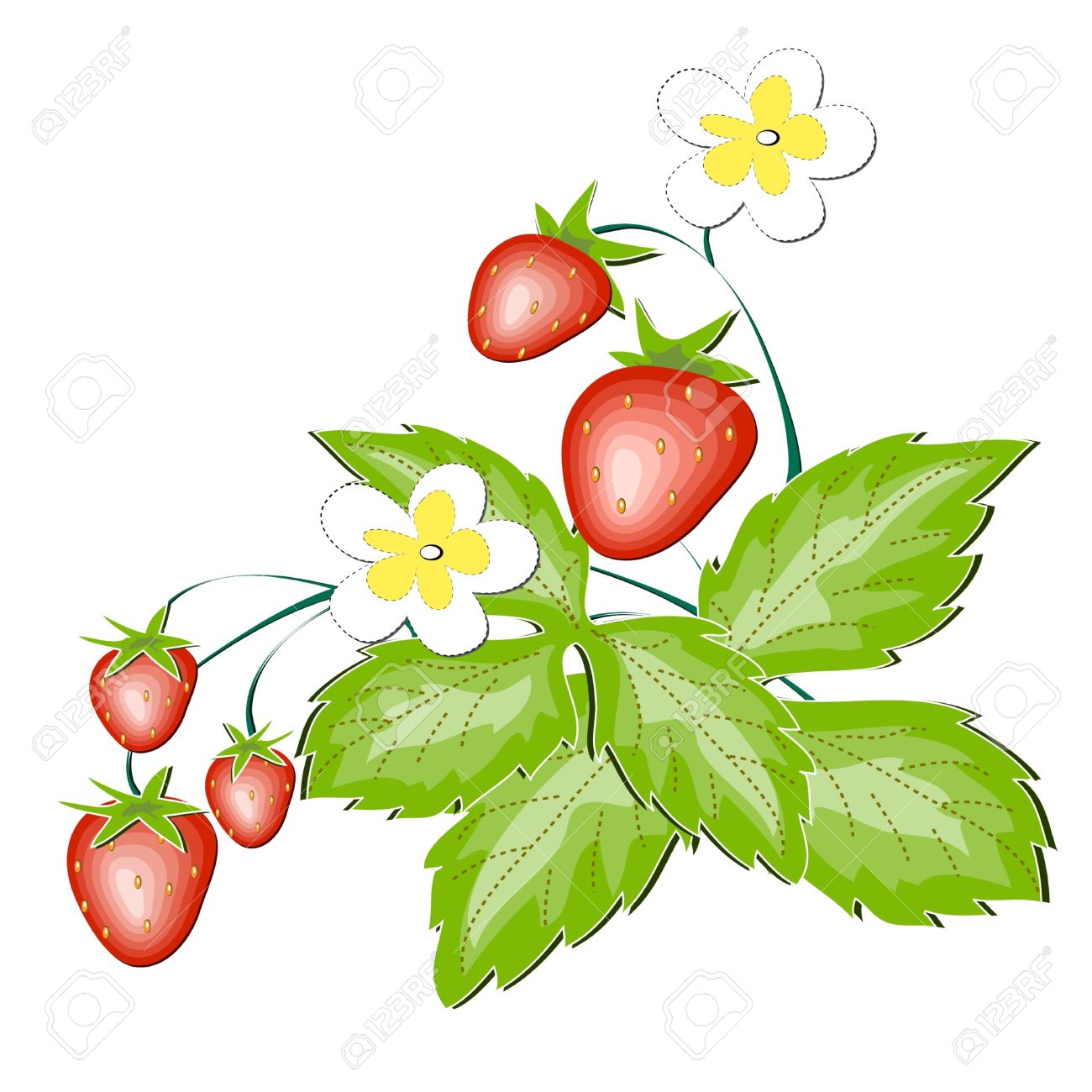 1300x1300 Wild Strawberry Clipart
