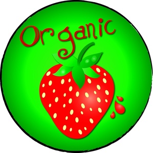 299x300 Organic Strawberry Clipart Image