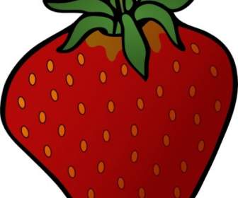 336x280 Strawberry Clip Art Vector Clip Art Free Vector Free Download