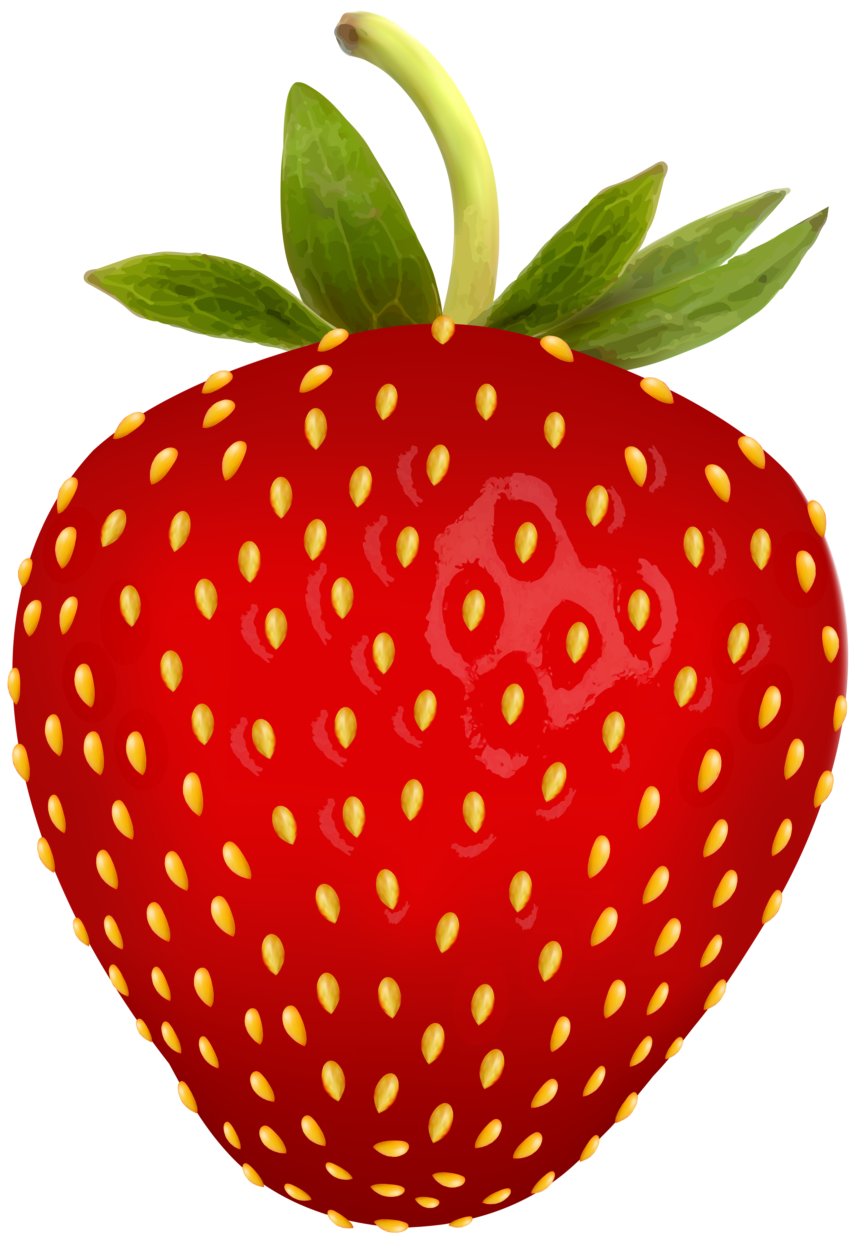 Strawberry Clipart Free | Free download on ClipArtMag