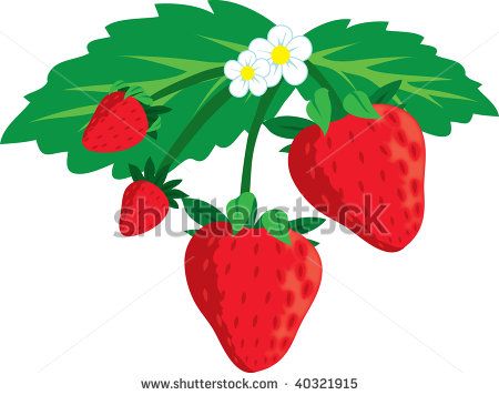 450x356 Branch Clipart Strawberry