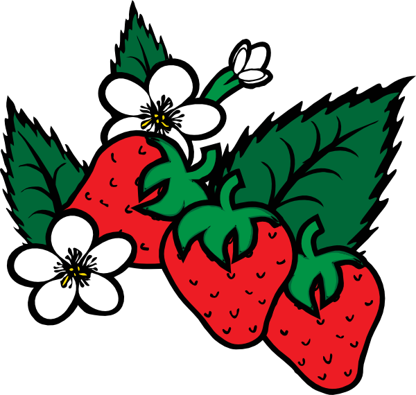 600x570 Strawberries Clip Art
