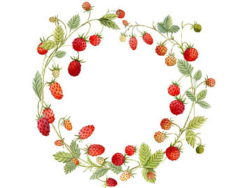 Strawberry Vine Clipart | Free download on ClipArtMag