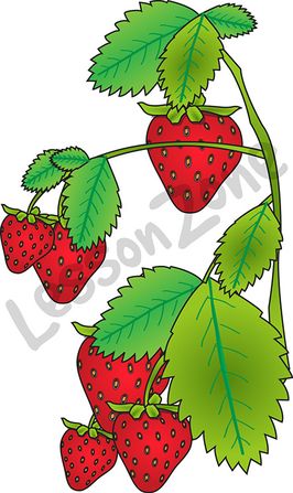 266x447 Branch Clipart Strawberry
