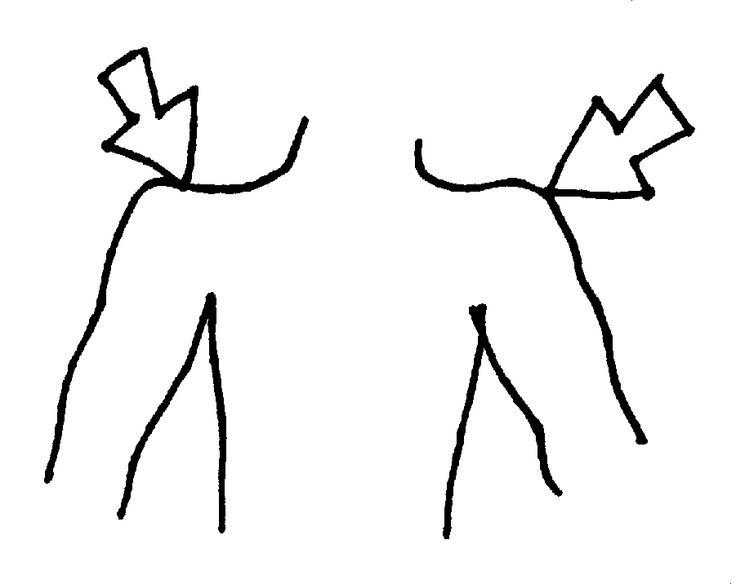 736x584 Top 79 Body Parts Clip Art