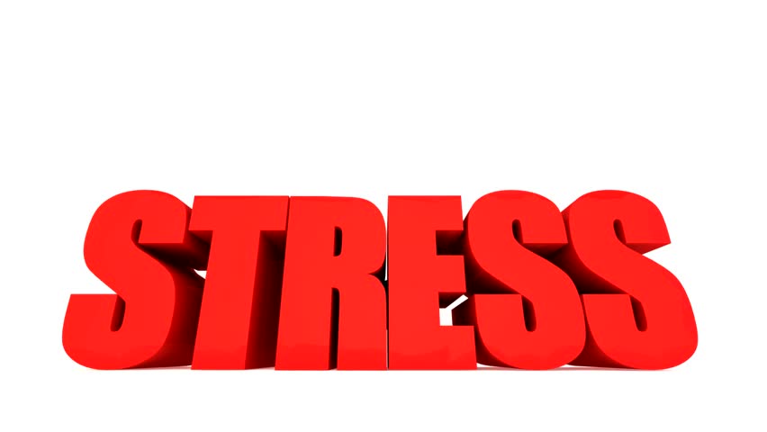 852x480 Stress Free Stock Footage Video Shutterstock