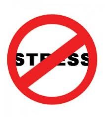 213x237 Stress Pictures Free Group