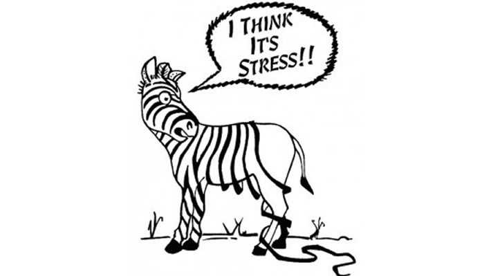 710x399 Capital Pain Amp Rehabilitation Clinic Canberra, Act Providing