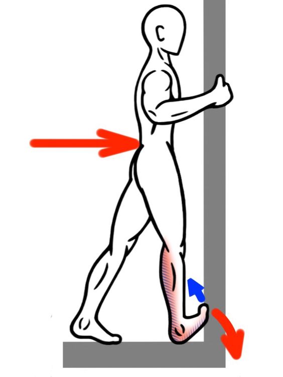 564x752 Stretching Clip Art Techniques Cliparts