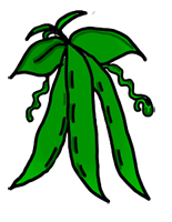 155x200 Clip Art Green Beans Clipart