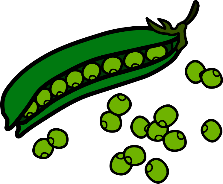 745x615 Beans Clipart