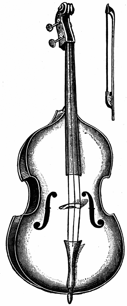 426x1024 Double Bass Clipart Etc