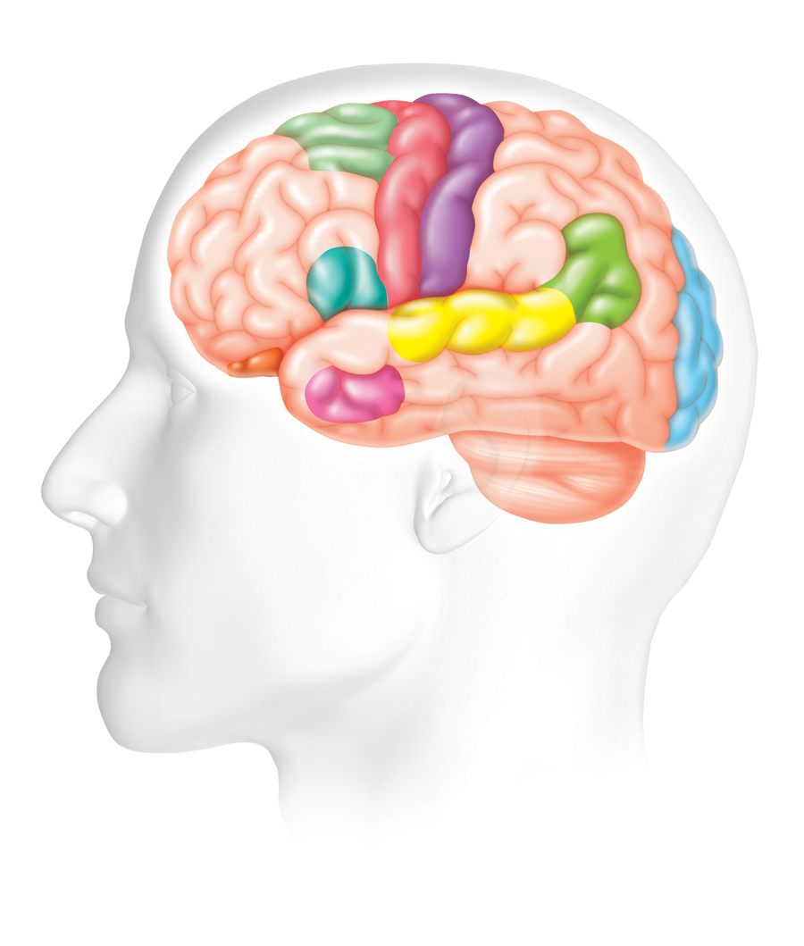 900x1059 Stroke Clip Art Clipart