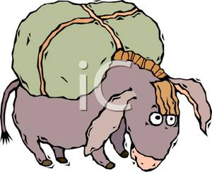 300x243 Top 93 Mule Clip Art