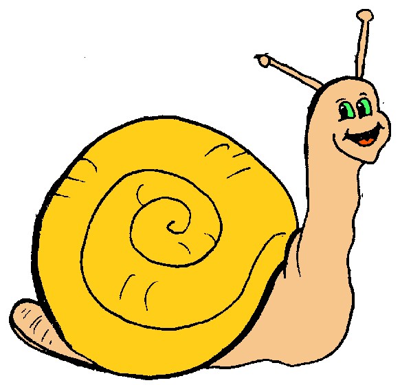 582x560 Snail Clipart Free Cliparts For Work Study