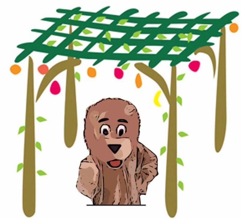 800x729 Young Judaea Sukkot Party!