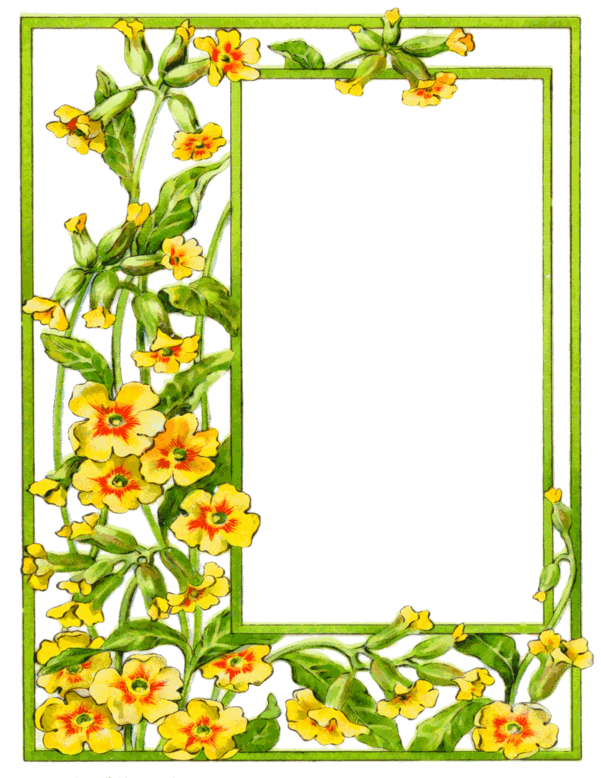 850x1100 Yellow Flower Clipart Summer Border