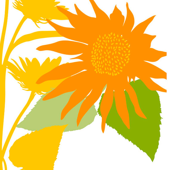 570x570 Sunflower Clip Art Silhouettes Summer Sun Flower Clipart