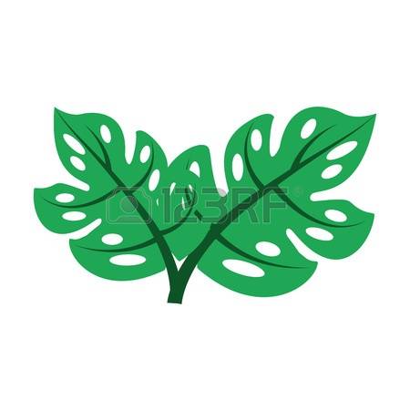 450x450 Illustration Leaf Clipart, Explore Pictures