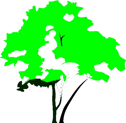 490x475 Summer Trees Clipart Free Images