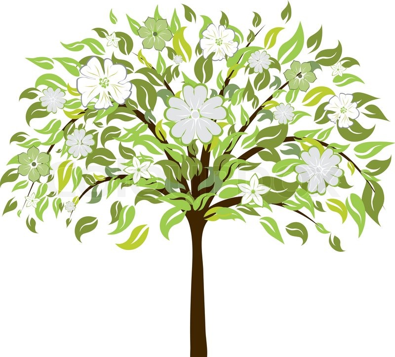 800x723 Beautiful Summer Tree With Blossom Flowers Vector Illustration