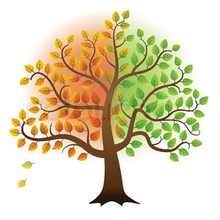 320x320 Four Seasons