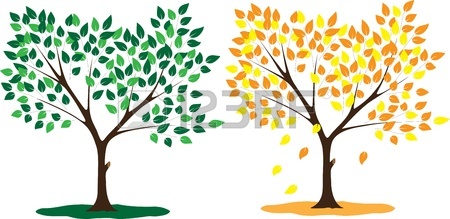 450x219 62,507 Orange Tree Cliparts, Stock Vector And Royalty Free Orange