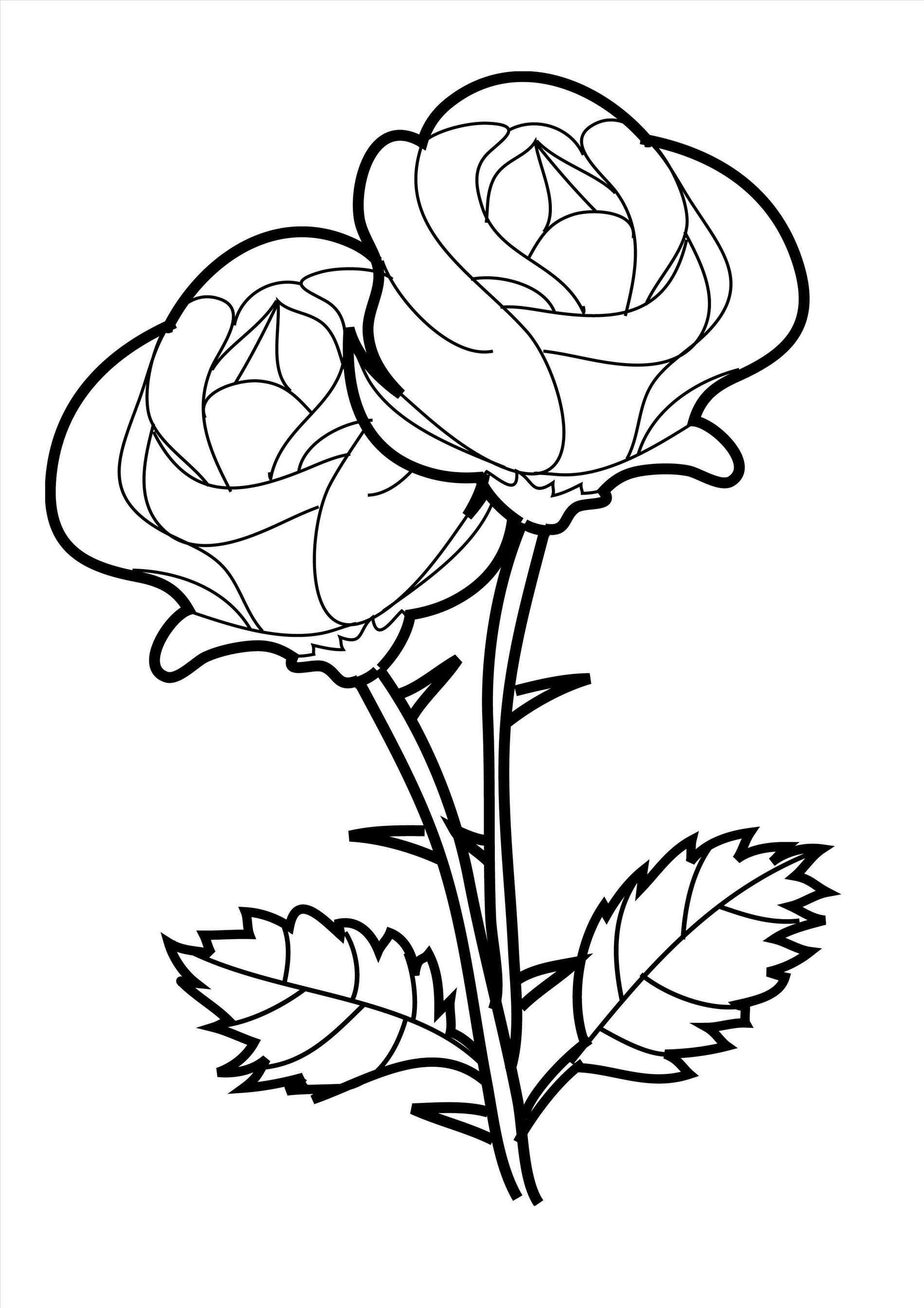 1899x2687 Red Roses Drawings And Lace Tattoo With Pearls The Sun Moon U